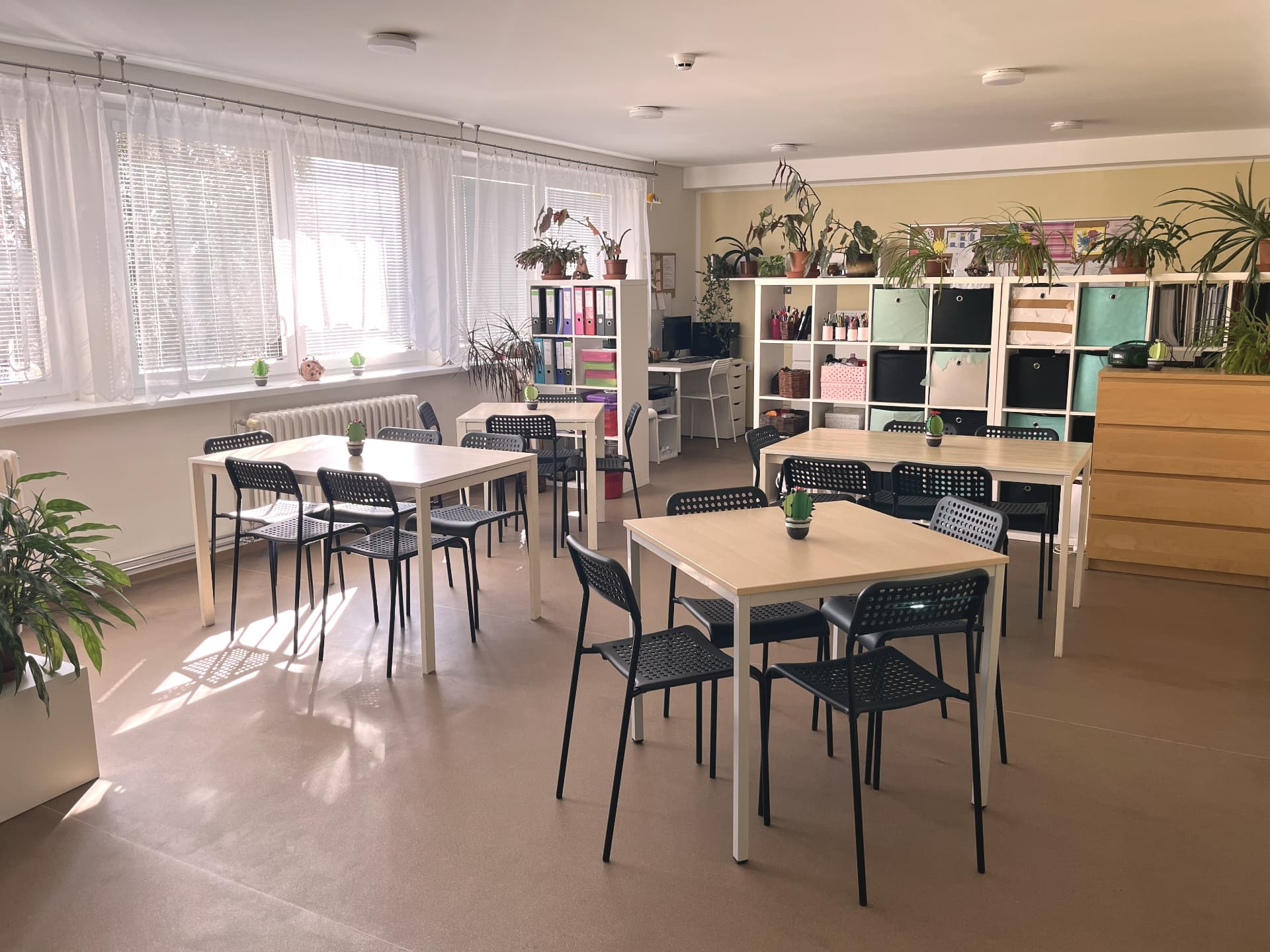 Prosluněná místnost s úložnými boxy a rostlinami