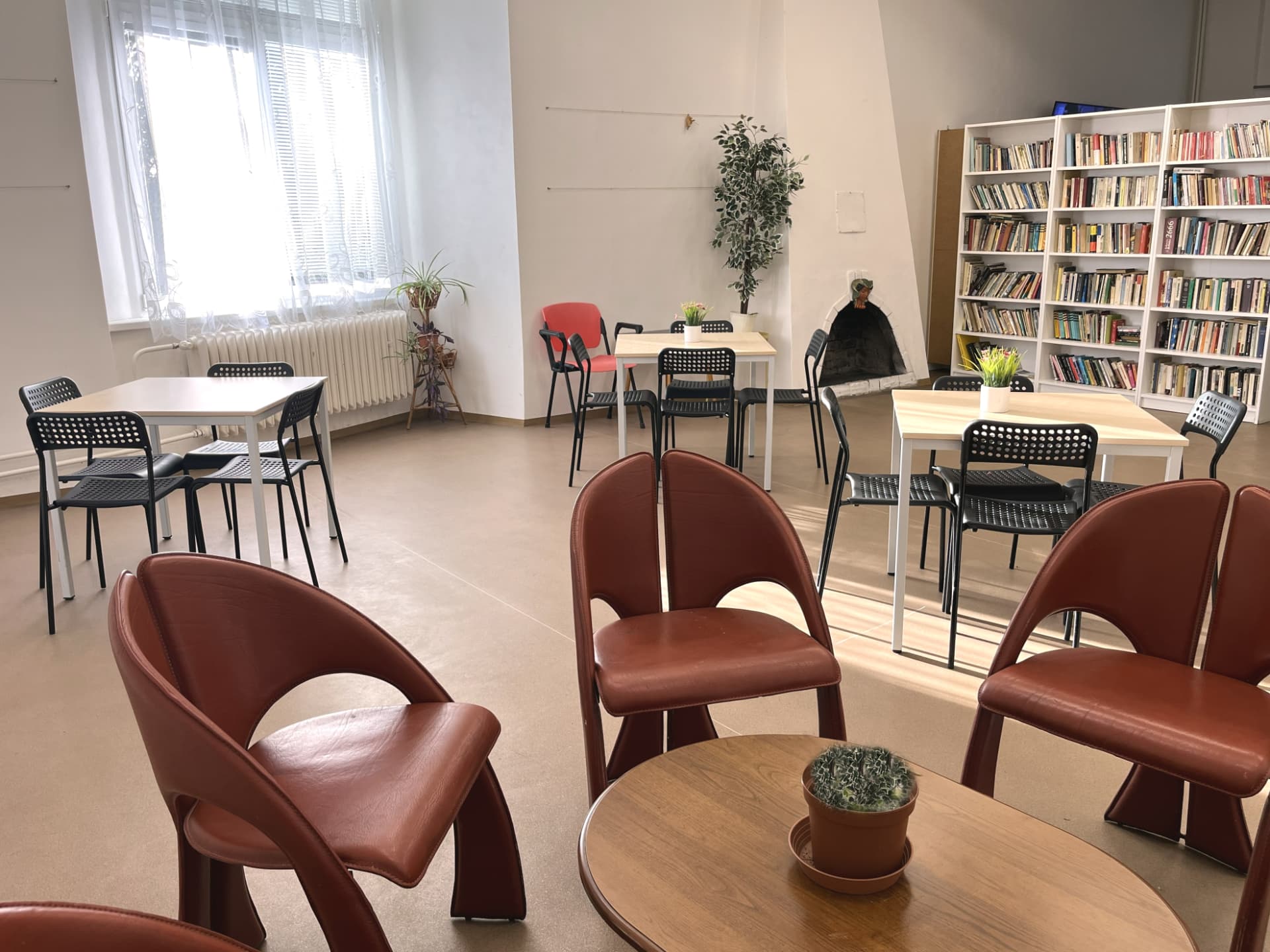 Knihovna s regály knih a čtecími křesly